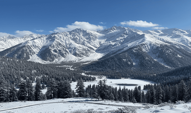Apharwat Peak