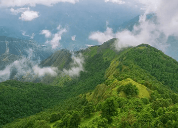 Benog Wildlife Sanctuary​