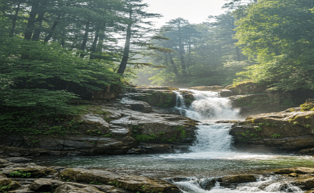 Chadwick Falls