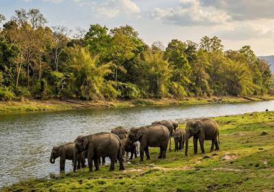 Nagarhole National Park​