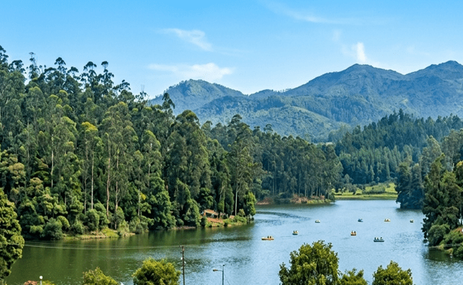 Ooty