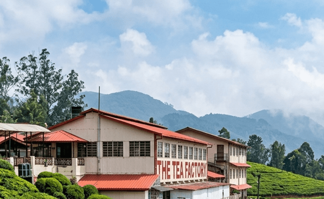 Ooty